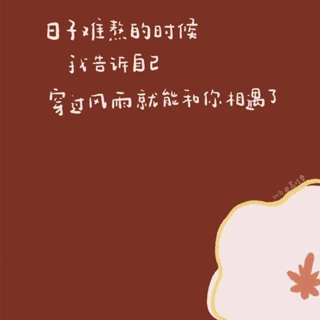 花蝴蝶：社交媒体时代下的“花蝴蝶”现象,美丽与自由背后的社会反思-2