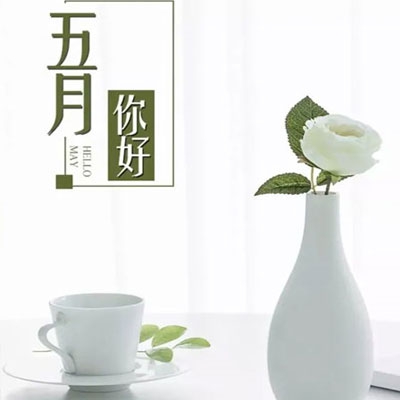 叶面肥最佳混配方法53岁沈阳老阿姨叫的谁了vivo|沈阳老阿姨叶面肥混搭秘籍:揭秘黄瓜增产秘诀-2